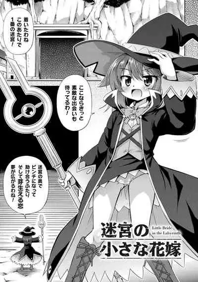 Mesu Ochi Ritoru Horu