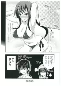 Walkure Romanze More & More Visual Fan Book