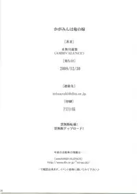 (C75) [AMBIVALENCE (Minazuki Tsuyuha)] Kagamin wa Ore no Yome (Lucky Star)