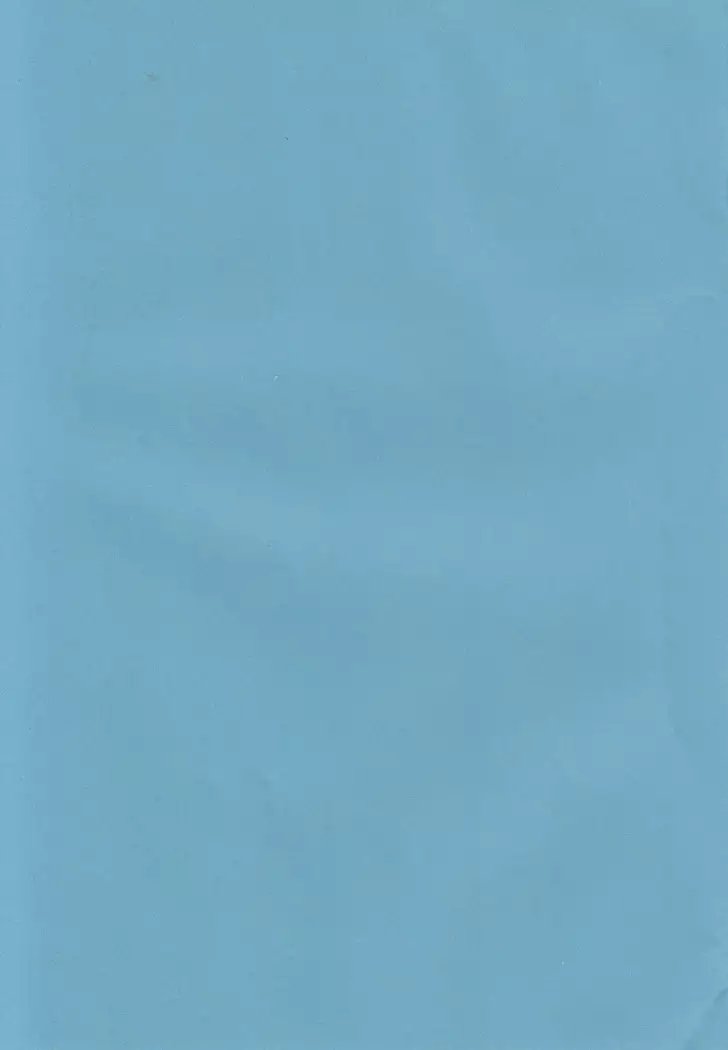 Renko Okusuri Jikken