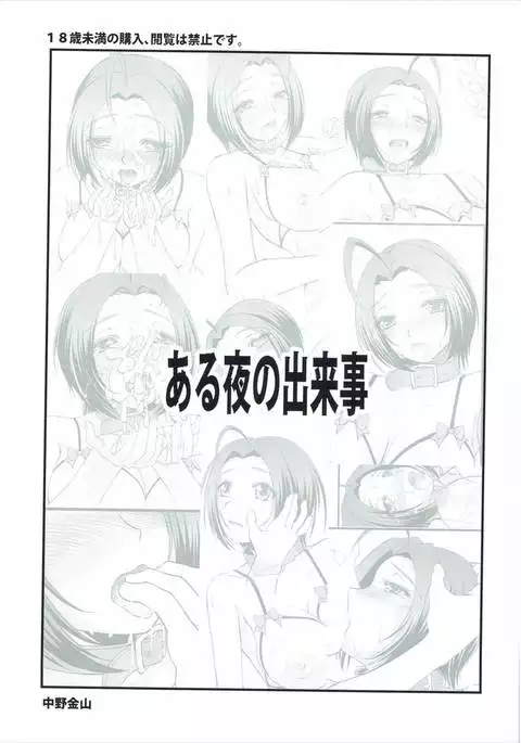 Aru Yoru no Dekigoto