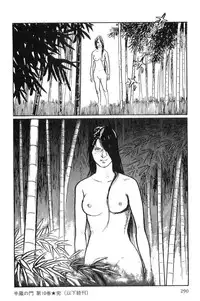 [Koike Kazuo, Kojima Goseki] Hanzou no Mon Vol.10