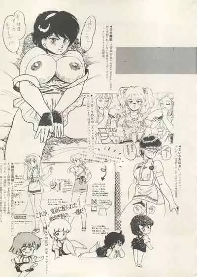 Bishoujo Shoukougun 6