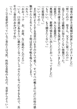 年上メイドの新婚日記