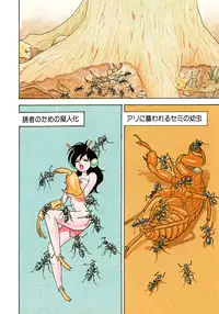 [Kondom] Bondage Fairies 3