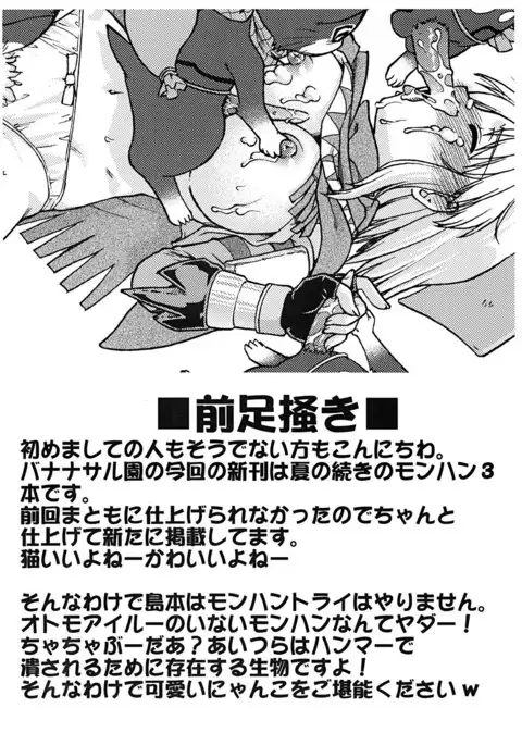 Bouken Shimasho! 2 MONSTER HUNTER PORTABLE side