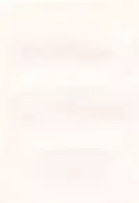 [Shou Akira] Oneichan W