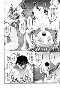 [Himehachi] Hinadori Tachino Yakata