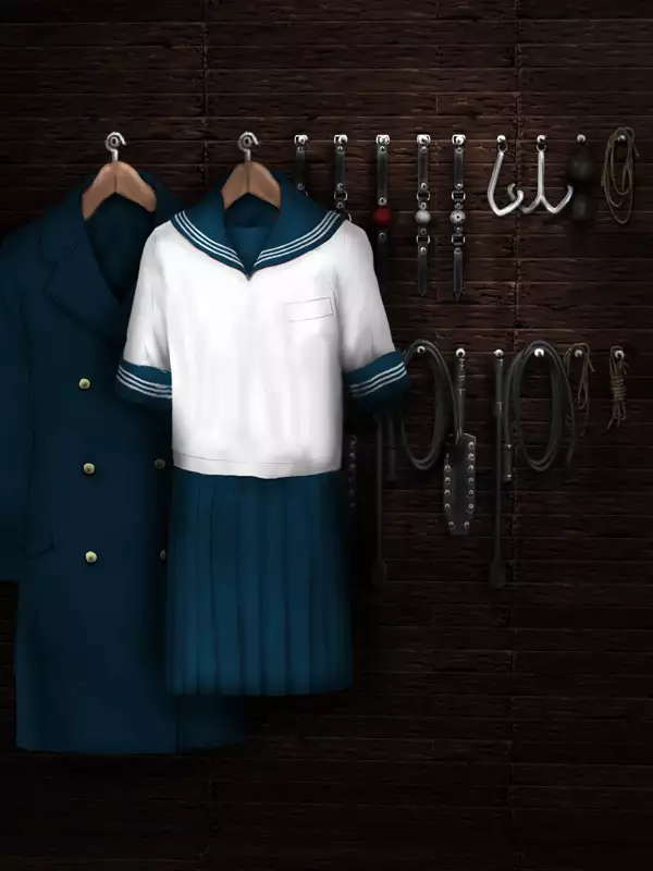 H.S.C. Illustration Collection Ex.4