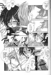 (C61) [AREYOUHAPPY?, APOCRIPHA (Asai Ichiko, Hiyama Akira)] GOVERNMENT5121 (Gunparade March)