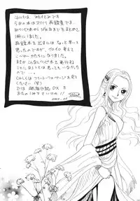 [Ginmomodou (Mita Satomi)] Koukai Nisshi DX (One Piece) [Digital]