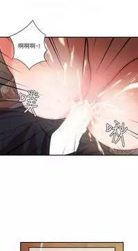 母豬養成計畫【中文】