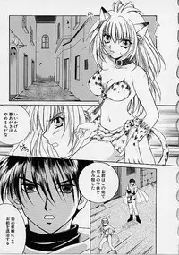 [Makino Kenji] D-CHASE