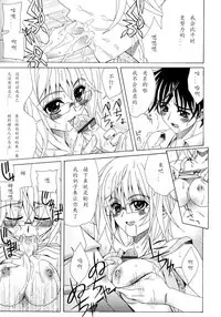 [Lapis Lazuli] Dual Girls [Chinese] [如月響子汉化组]