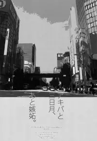 Touhou Youjo Ranbu 2