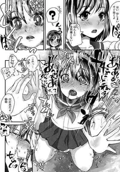 Subetega Mesu ni Naru