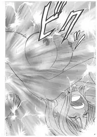 [Crimson Comics (Carmine)] Koukai Soushuuhen 2 (One Piece)