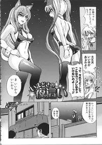 [Ozawa Reido] Mesubuta Kakumei