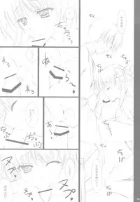 (C76) [THE FLYERS (Naruse Mamoru)] 20090815 (Saki)