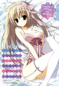 MOEOH Selection Artbook: Motto Otona no Moeoh