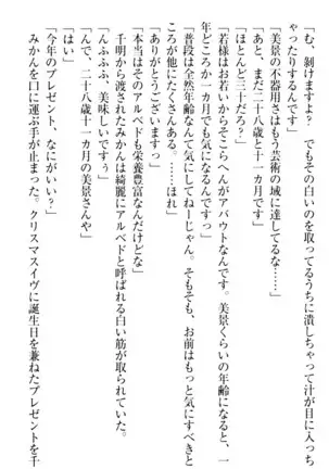 年上メイドの新婚日記