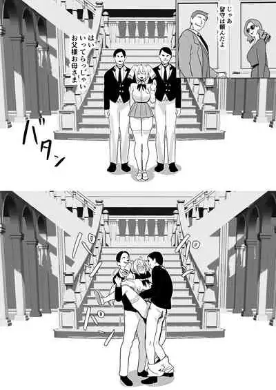 [Kokusan JK (Velzhe)] Rape the Rich [Digital]