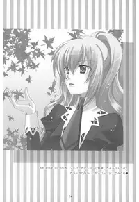 (C73) [ANGELBOX (Hazuki Ruka)] Onee-sama to Nekomimi Soudou (Strawberry Panic!)