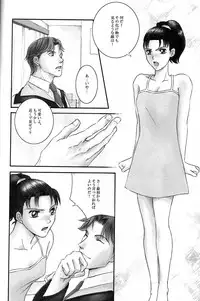 (C61) [AREYOUHAPPY?, APOCRIPHA (Asai Ichiko, Hiyama Akira)] GOVERNMENT5121 (Gunparade March)