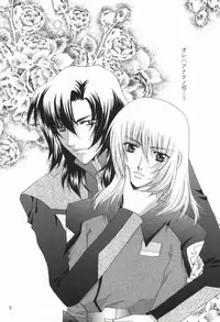 (C67) [Vitamin-x (Sanmangoku Hoshiko)] GOLD DUST (Gundam SEED DESTINY)