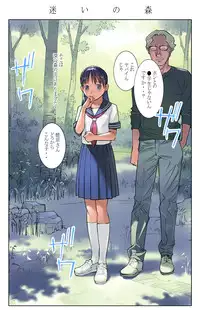 [ORANGE BULLET] ORANGE 15