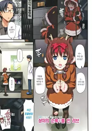 Toshishita Syndrome | 연하 신드로옴