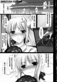 (SC33) [UDON-YA (Kizuki Aruchu, ZAN)] SWEETISH FELLOW (Fate/stay night) [Chinese] [322漢化]