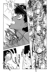 [Shibata Masahiro] Nano Sector