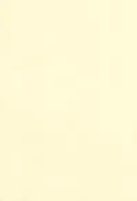 [Okina Flying Factory (OKINA)] INVISIBLE STALKER