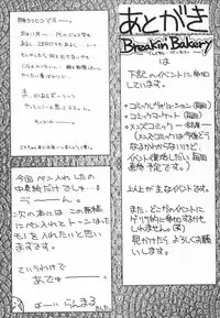 [Breakin' Bakery] Sex Tream Liner