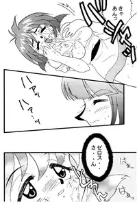 (C57) [Ginmomodou (Mita Satomi)] Slayers Adult 10 (Slayers)