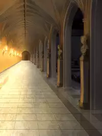 One Piece Marunomi Kyuushuu SEX