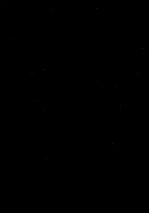 ORGAN-Tino 01 Chinese