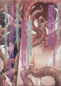 [Erect Sawaru] Pandra II - 特装版 ドラマCD&カラー小冊子付き