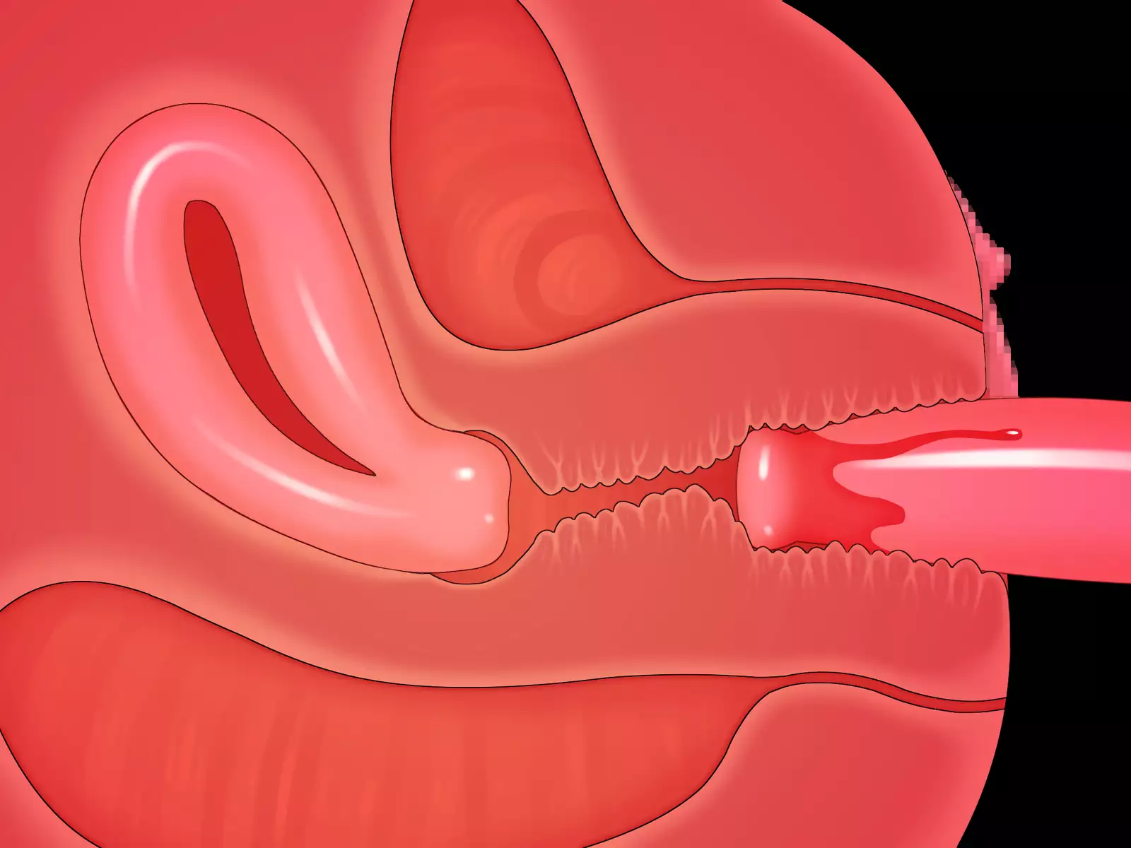 New Futanari Paid Dating