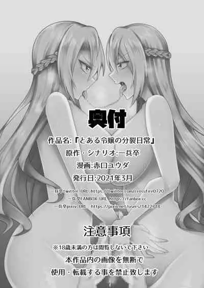 Toaru Reijou no Bunretsu Nichijou