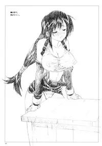 (C77) [Shinjae Iinkai (Mukasa Kouki)] Velvet Voix III (Final Fantasy VII)