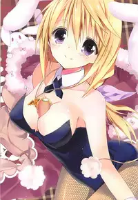 (C84) [Otona Shuppan (Hitsuji Takako)] IS Soushuuhen (IS <Infinite Stratos>)