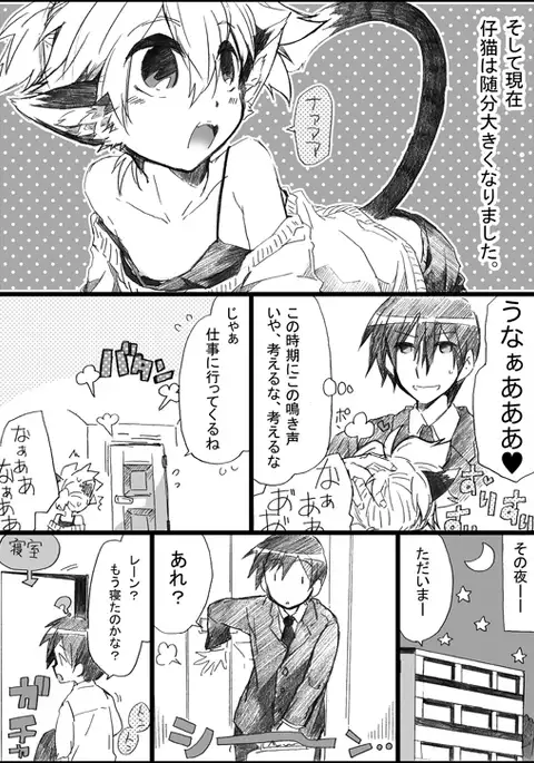 にゃんこのいる生活