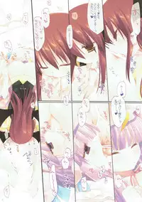 (Reitaisai 10) [D.N.A.Lab. (Miyasu Risa)] SEREVENT (Touhou Project)