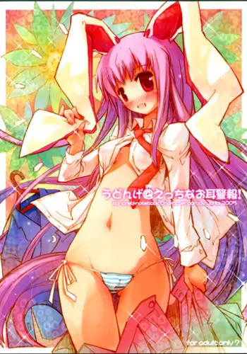 (C69) [Komorebi-notebook (Momiji Mao)] Udonge @ Ecchi na omimi keihou! (Touhou Project)