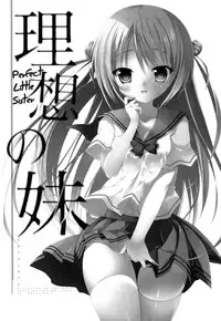 (C88) [INS-mode (Amanagi Seiji)] Risou no Imouto [English] [biribiri]