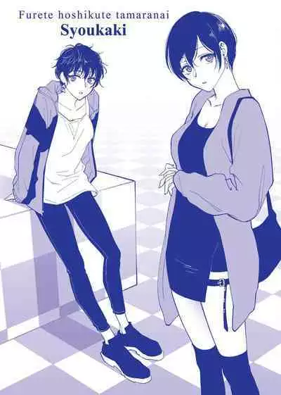 ふれてほしくて たまらない 未来數位、eve個人拼接版 無修正 DL版