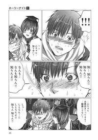 [Miyazaki Maya] Holy Knight 1