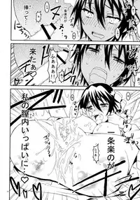 (C85) [Project Harakiri (Kaishaku)] Nisenisekoi 3 (Nisekoi)